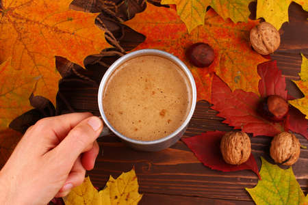 Cappuccino drink in a cup in the fall topの写真素材