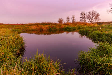 Beautiful lake during sunset in summerの写真素材