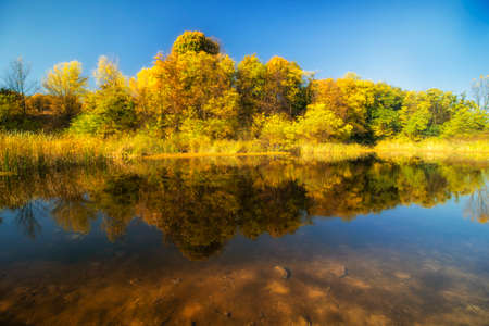 Beautiful autumn lake and yellow treesの写真素材