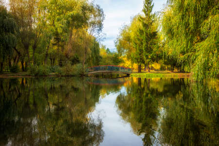 Beautiful lake in autumn and yellow treesの写真素材