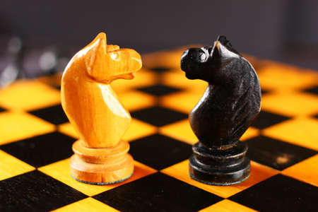 Chess black horse opposite whiteの写真素材
