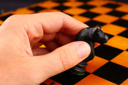Hand holds a chess piece of a black horseの写真素材
