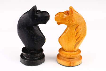 Two chess horses black and white on a white backgroundの写真素材