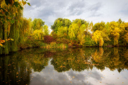 Beautiful autumn lake and yellow leavesの写真素材