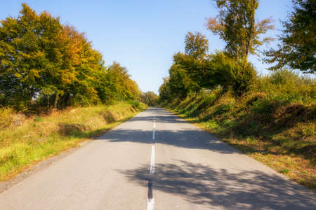 Autumn asphalt road with markingの写真素材