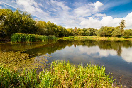 Beautiful lake in summer or autumnの写真素材