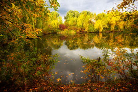 Beautiful autumn lake and yellow leavesの写真素材