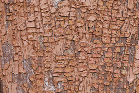 Old wooden red cracked boards. beautiful backgroundの写真素材