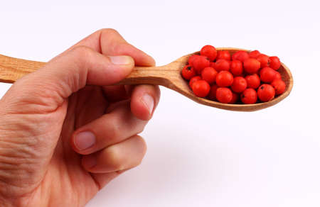 Bunch of red rowan in a wooden spoon isolateの写真素材