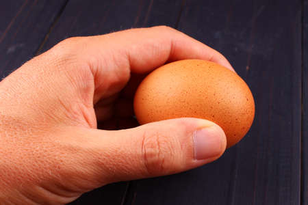 Brown chicken egg in hand
