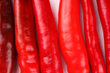 Red hot chili peppers on a white background isolateの写真素材
