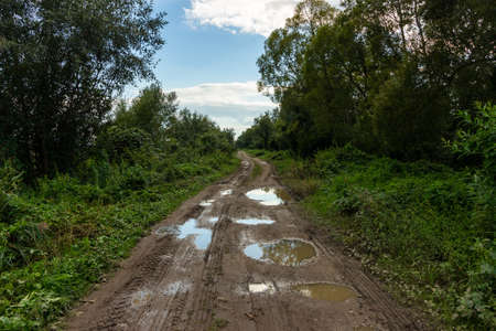 Bad summer road in the villageの写真素材