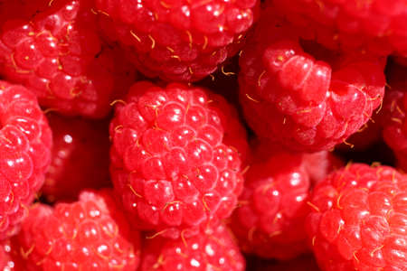 Raspberry berry in summer closeupの写真素材