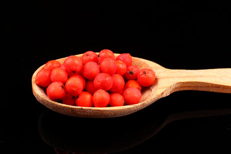 Rowan in spoon on black backgroundの写真素材