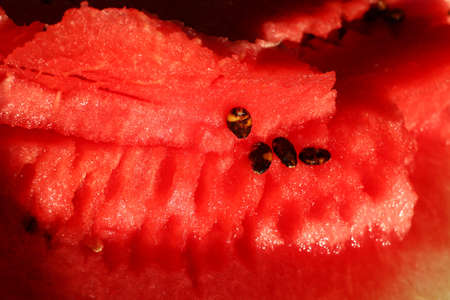 Watermelon sliced red berry closeupの写真素材
