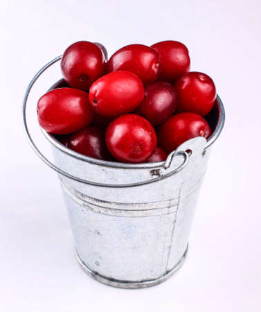 dogwood berry in bucket on a white backgroundの写真素材