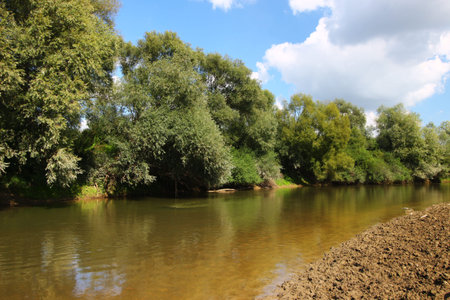 Dniester River in summer in Ukraineの写真素材