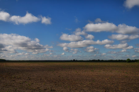 Not planted field in the spring. Beginning of agricultural work.の写真素材