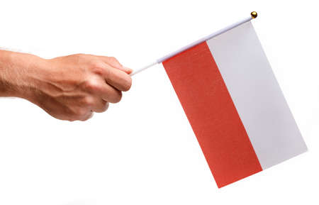 Poland flag small in hand isolate.の写真素材
