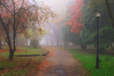 Beautiful autumn landscape. Foggy park.の写真素材