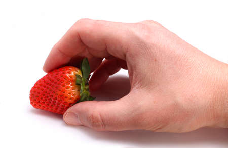 Hand holds strawberry isolateの写真素材