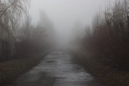 deserted trail in the fog. The road to the unknown. Mystical landscape.の写真素材