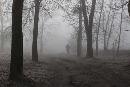 Lonely passerby in a foggy autumn park. The road to the unknown. Mystical landscape.の写真素材