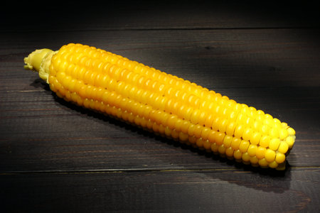 Cobs of yellow boiled corn on a dark background.の写真素材