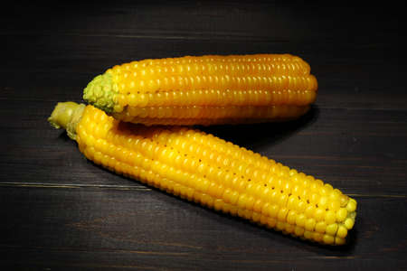 Cobs of yellow boiled corn on a dark background.の写真素材