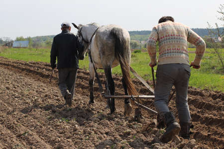 Hard work in the countryside. People plow the field.の写真素材
