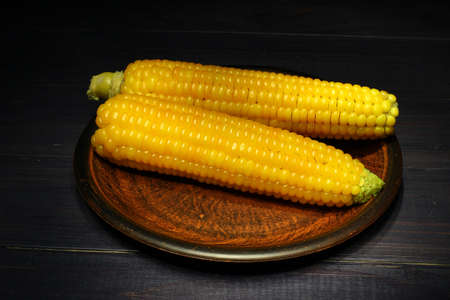Cobs of yellow boiled corn on a dark background.の写真素材