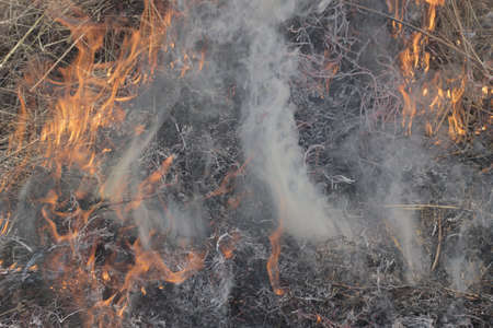 Gray smoke during a fire close-up.