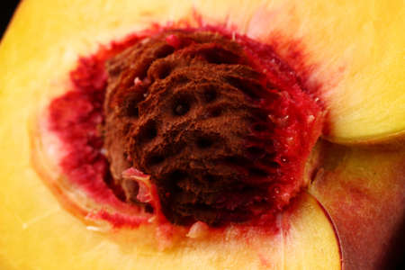 Cut peach on a dark background close upの写真素材