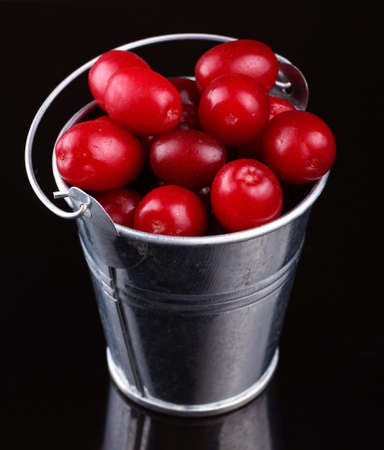 Dogwood in bucket on dark backgroundの写真素材