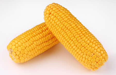 corn maize cobs on a white backgroundの写真素材