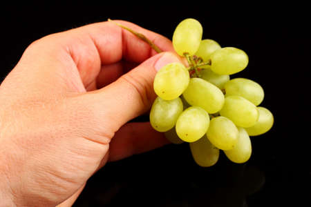 yellow grape Sultana Thompson Seedless Kishmish in hand on black backgroundの写真素材