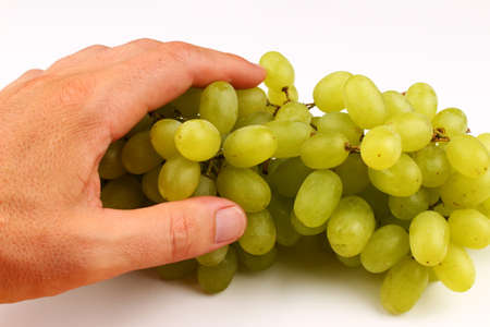White grape Sultana Thompson Seedless on a white background and a handの写真素材