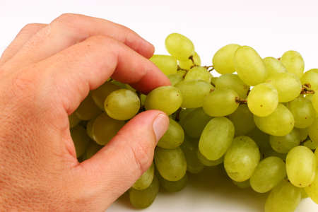 White grape Sultana Thompson Seedless on a white background and a handの写真素材