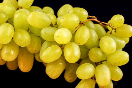 yellow grape Sultana Thompson Seedless Kishmish on black backgroundの写真素材