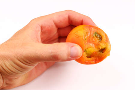 Bitten tomato in hand on a white backgroundの写真素材