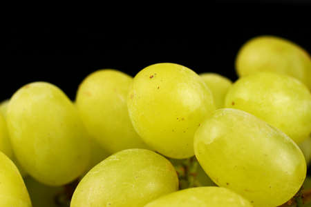 yellow grape Sultana Thompson Seedless Kishmish place for text cope spaceの写真素材