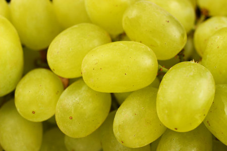 yellow grape Sultana Thompson Seedless Kishmish on black background close upの写真素材