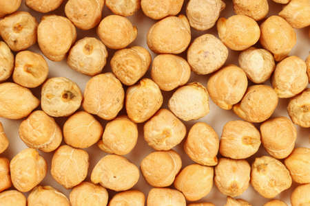 several chickpeas on a white background closeupの写真素材