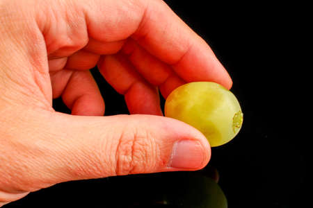 White Laura grapes in handsの写真素材
