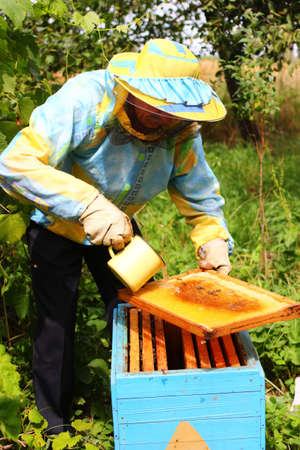 Beekeeper feeds bees with sugar syrupの写真素材