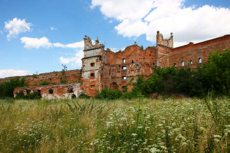 Ancient castle ruins in Stare Seloの写真素材