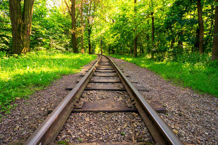 Railroad in the summer parkの写真素材