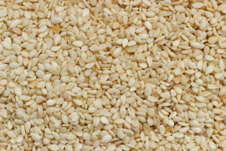 A lot of sesame seeds texture or backgroundの写真素材