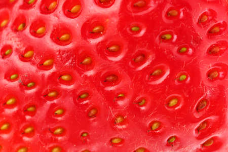 One strawberry is a very close-up of a background or texture ...の写真素材