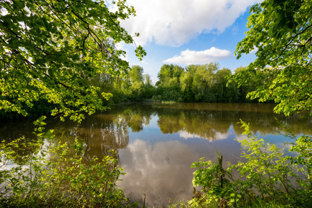 Beautiful summer landscape near the lakeの写真素材